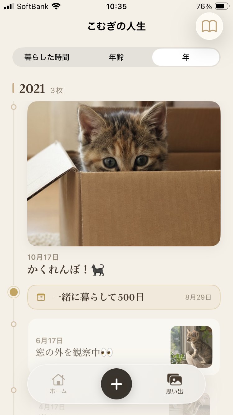 タイムライン（年）: 2021年、かくれんぼ